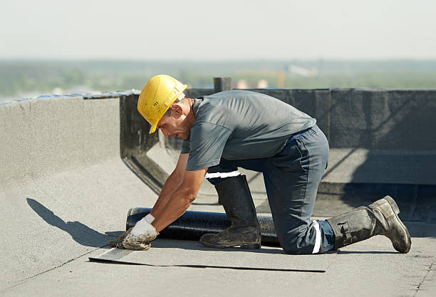 Best DIY Insulation Kits and Guidance in Fair Haven, NY